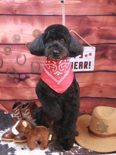 20260109アロちゃん