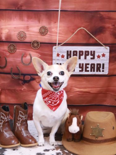 20260109うにちゃん