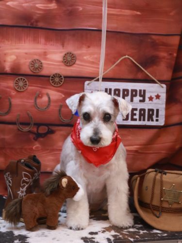 20260110ボルトくん