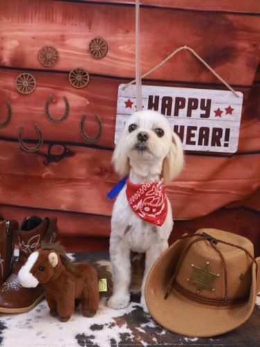 20260110むぎまるくん