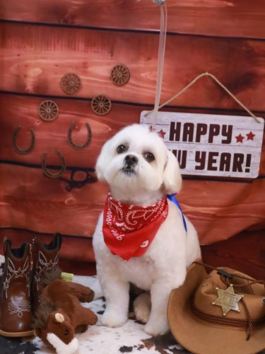 20260110茶子ちゃん