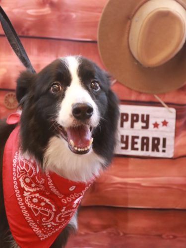 20260110ウィルくん