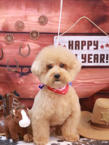 20260110かんたくん