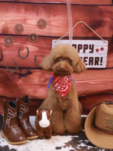 20260110くるるくん