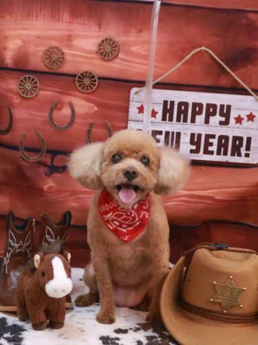 20260110フーちゃん