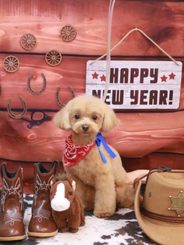 20260110らぶちゃん