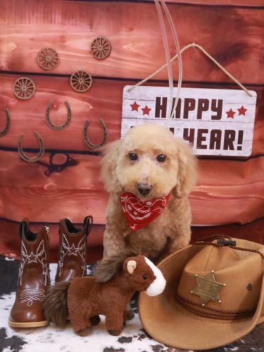 20260110COCOちゃん