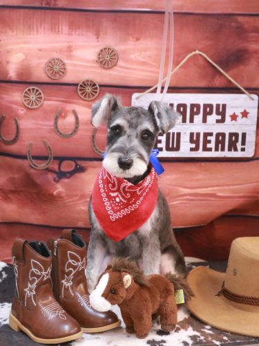 20260110なるちゃん