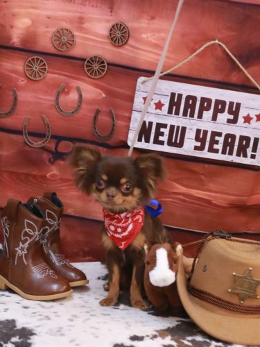 20260111りくくん