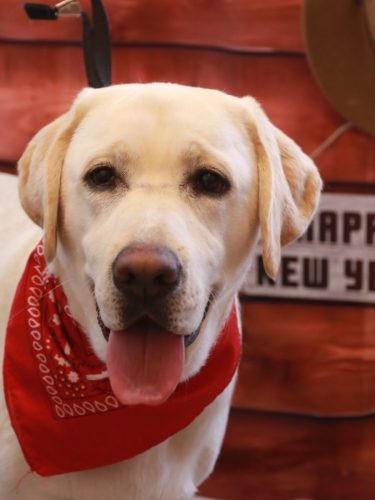 20260111糸ちゃん