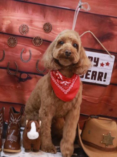 20260111テディくん