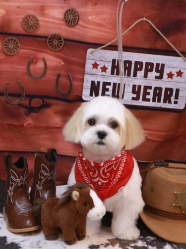 20260111ふくくん