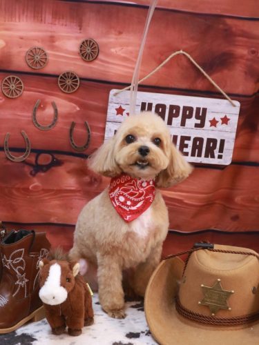 20260111シナモンくん