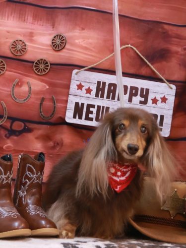 20260111ココアちゃん