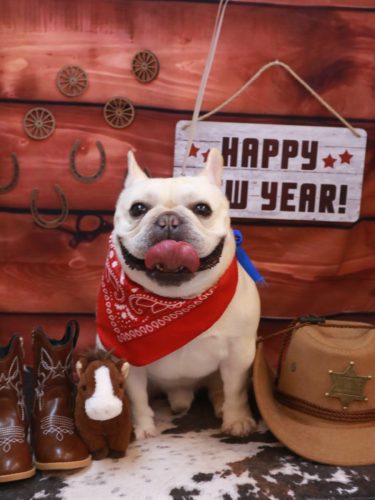 20260111だいずくん