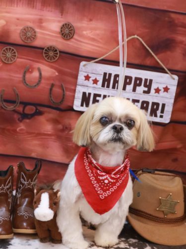 20260111ちょびくん