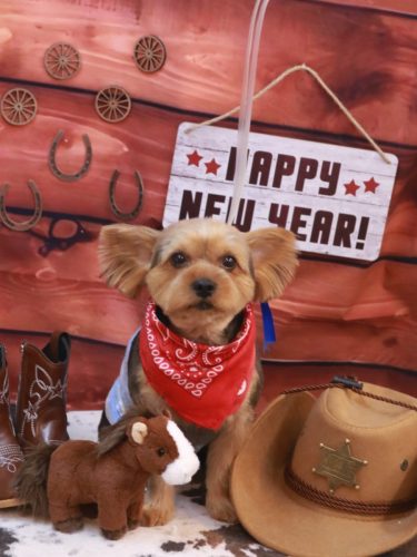 20260111ショーンくん