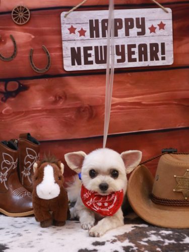 20260112じゅのんくん