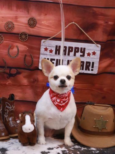 20260112モナちゃん