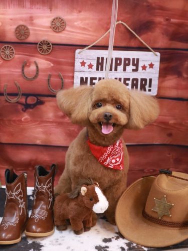 20260112ベルくん