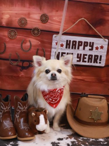 20260112とわくん