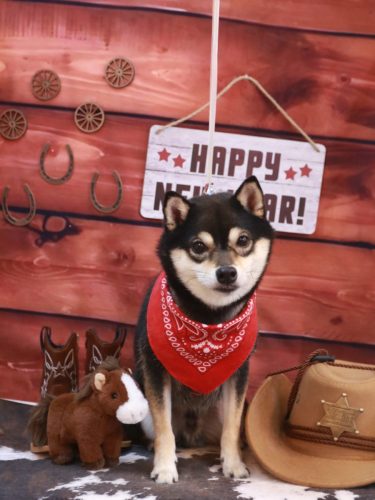 20260113ふうくん