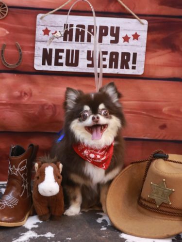 20260113ラブちゃん