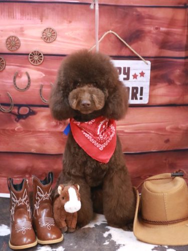 20260113ブランくん