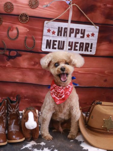 20260113クッキーくん