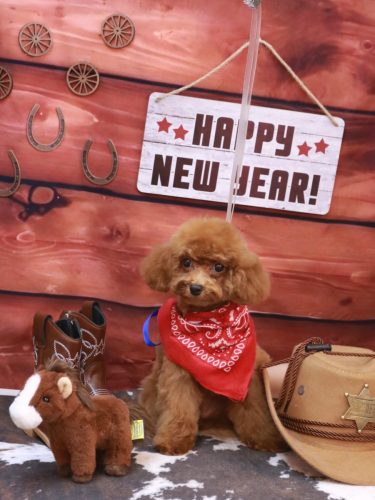 20260113モアちゃん