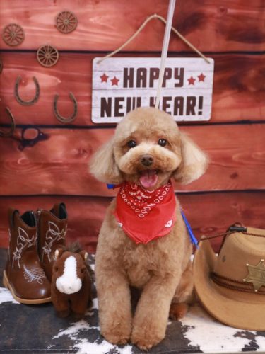 20260113マロンくん