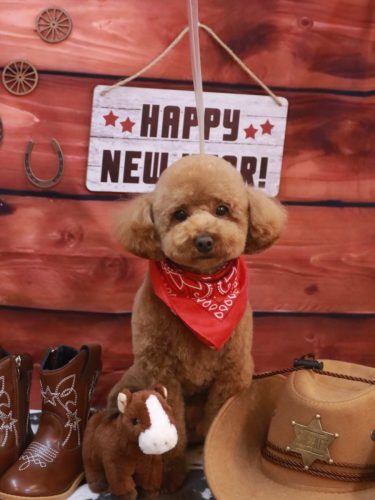 20260113モコくん