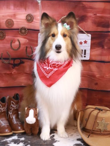 20260114トイくん