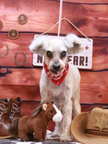 20260114ここちゃん