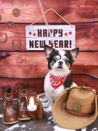 20260114ハートくん