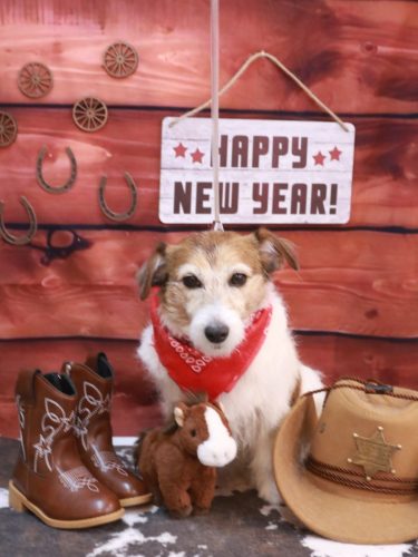 20260114こはるちゃん