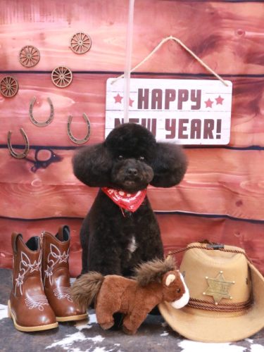 20260114コアくん