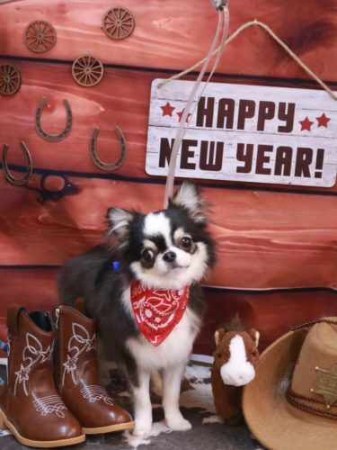 20260114はなまるちゃん