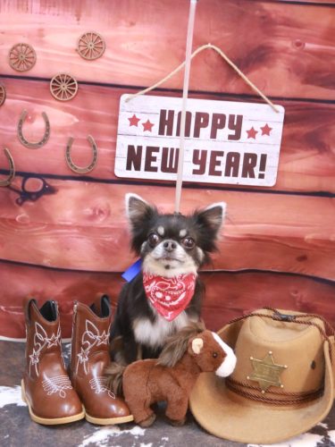 20260114らんまるちゃん