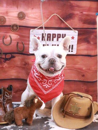 20260114ブーくん