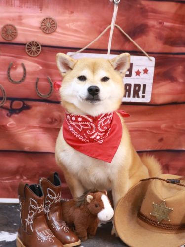 20260115はなちゃん