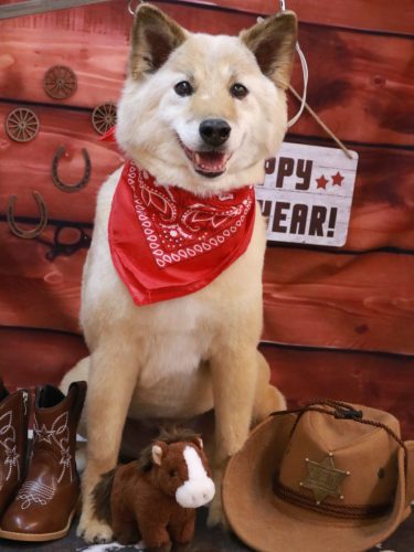 20260115れんくん