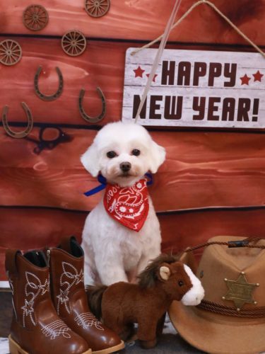 20260115ミルクくん