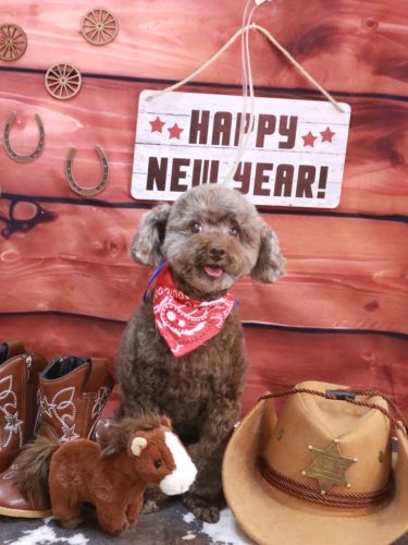 20260115モカくん