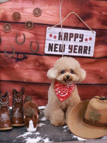 20260116ラブちゃん