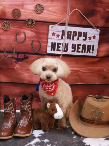 20260116ショコラくん