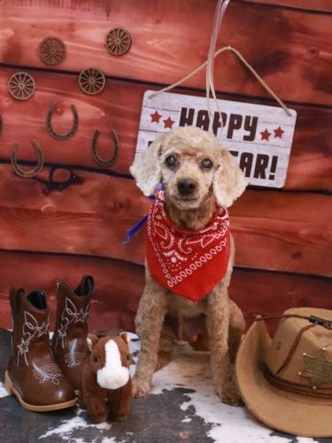 20260116マノアちゃん