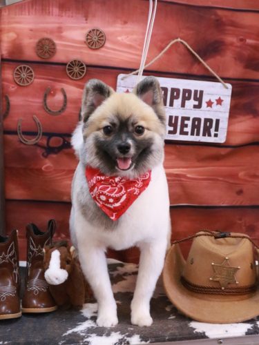 20260116だるくん