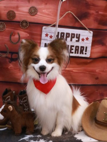 20260116ムーくん