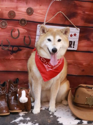 20260116こはるちゃん